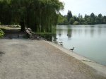 DSC01668.jpg