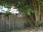 DSC01617.jpg