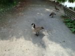 DSC01669.jpg