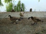 DSC01670.jpg