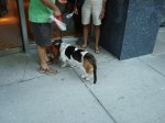 DSC01642.jpg