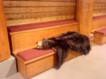 DSC00034.jpg