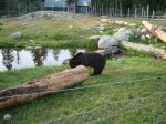 DSC01879.jpg