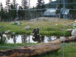 DSC01872.jpg