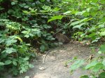 DSC01672.jpg