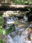Fontmartina 16102010 063.jpg