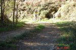 DSC01028web.jpg