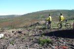 DSC01074web.jpg