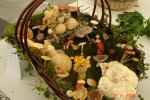 DSC01080web.jpg