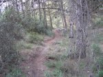 p9202042dm6.jpg