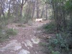 p9202043wv9.jpg