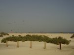 PB100006.JPG