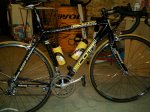 IMAG0116saunier.JPG