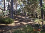 DSC00365.JPG