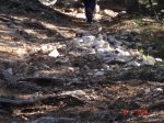 DSC00368.JPG