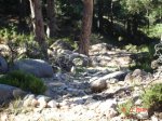 DSC00369.JPG