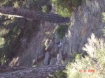 DSC00370.JPG