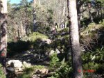 DSC00371.JPG