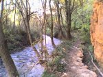 Bonica senda.jpg