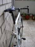 DSCN0239.JPG