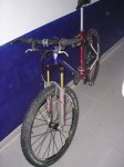 DSCN1484.JPG
