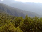16102010088.jpg