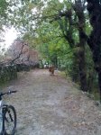 16102010372.jpg