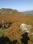16102010355.jpg
