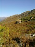 16102010356.jpg
