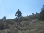 IMG_2768.jpg