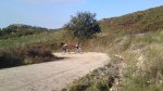 17102010514.jpg