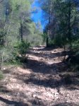 17102010_004.jpg