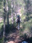 17102010_012.jpg