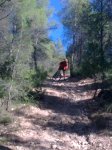17102010_005.jpg