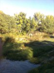 Imagen0077.jpg