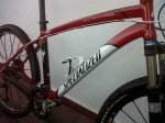 IMG01239-20101017-1843.jpg