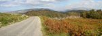 Pano3.jpg