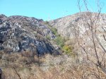 DSCN5286 (Large).JPG