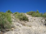 PARED RACA.jpg