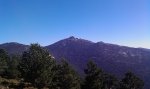 IMAG0108.jpg