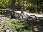 DSCN5496.jpg