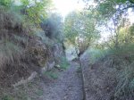 DSCN5517.jpg