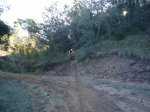 DSC00617.jpg