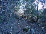 DSC00609.jpg