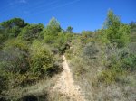 DSC00626.jpg