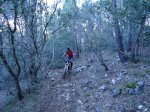 DSC00614.jpg