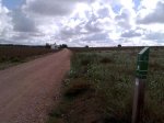 101020101863.jpg