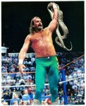 jake the snake roberts.jpg
