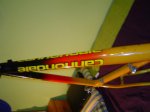 DSC00201.jpg