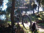 bike 005.jpg